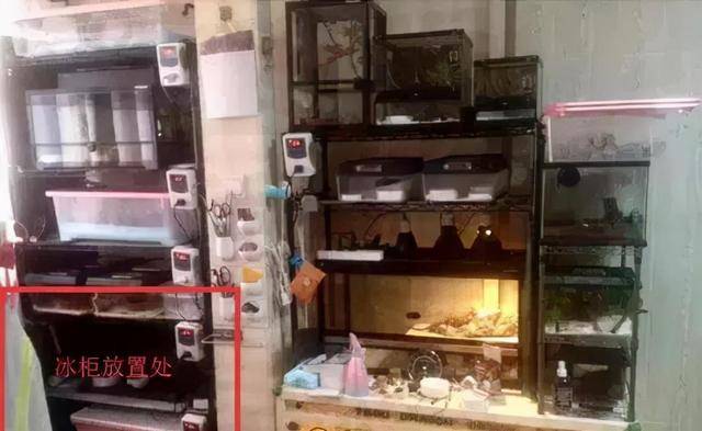 教师被丈夫掐死藏冰柜105天深度分析5个问题九游会j9入口登录新版回顾2016年上海女(图8)