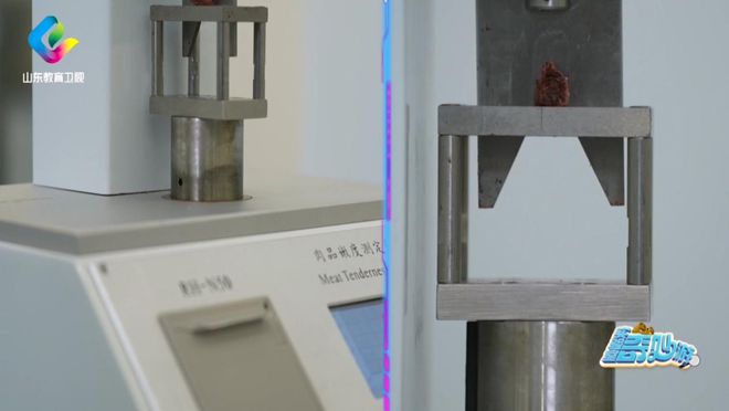 》走进海尔冰箱感受保鲜创新力量！j9九游会入口首页《实验室奇妙游(图5)