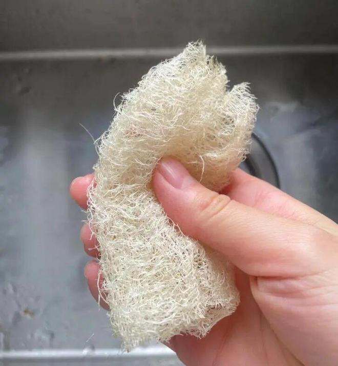 都是“霉菌重灾区”很多人每天都在用j9九游会登录惊到了！家里这些东西(图1)