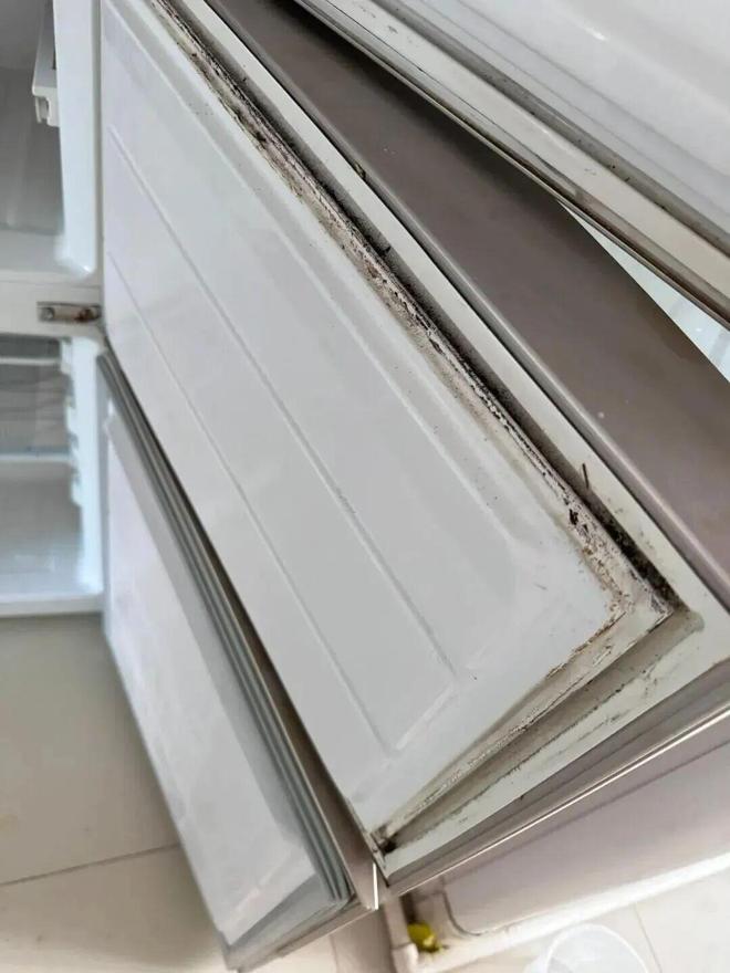 都是“霉菌重灾区”很多人每天都在用j9九游会登录惊到了！家里这些东西(图9)