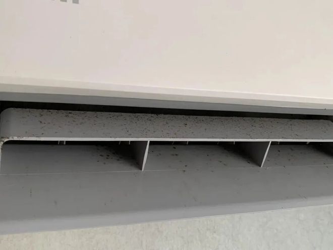 都是“霉菌重灾区”很多人每天都在用j9九游会登录惊到了！家里这些东西(图17)