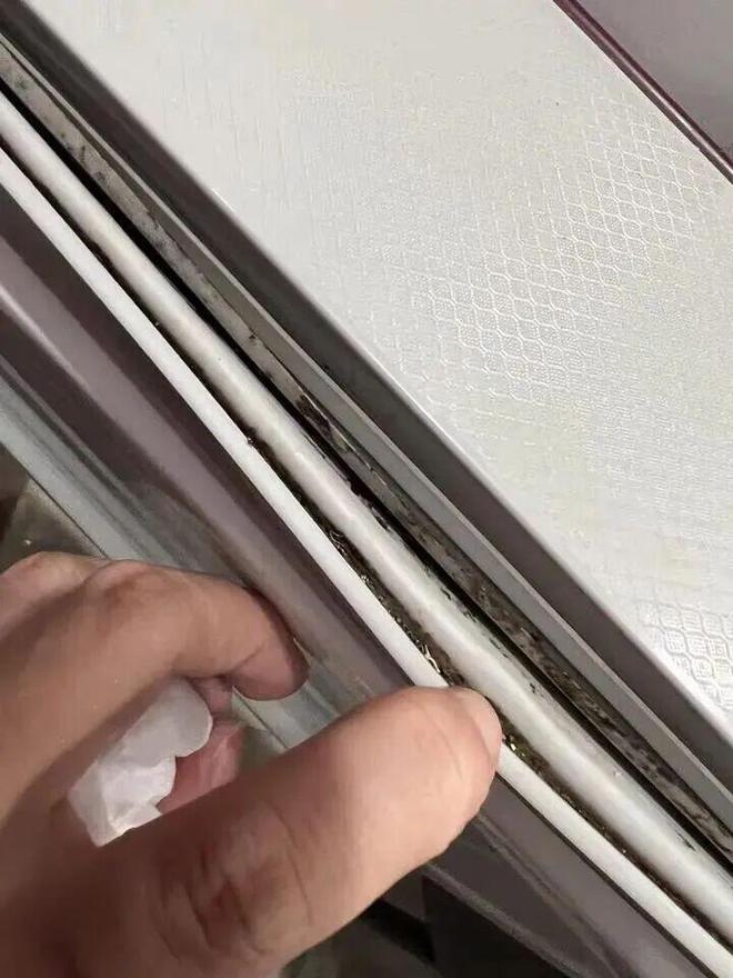 都是“霉菌重灾区”很多人每天都在用j9九游会登录惊到了！家里这些东西(图23)