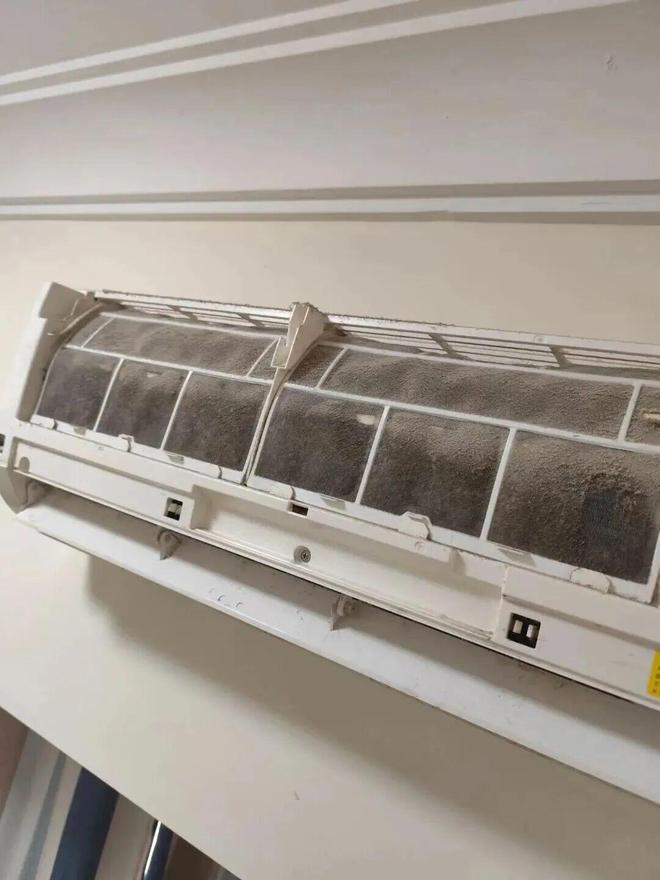 都是“霉菌重灾区”很多人每天都在用j9九游会登录惊到了！家里这些东西(图19)