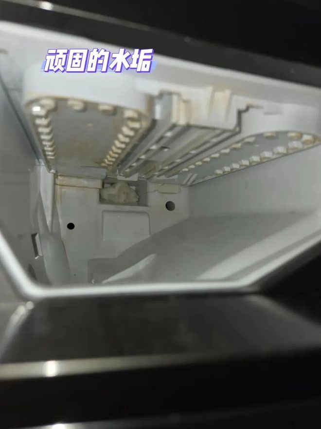 都是“霉菌重灾区”很多人每天都在用j9九游会登录惊到了！家里这些东西(图25)